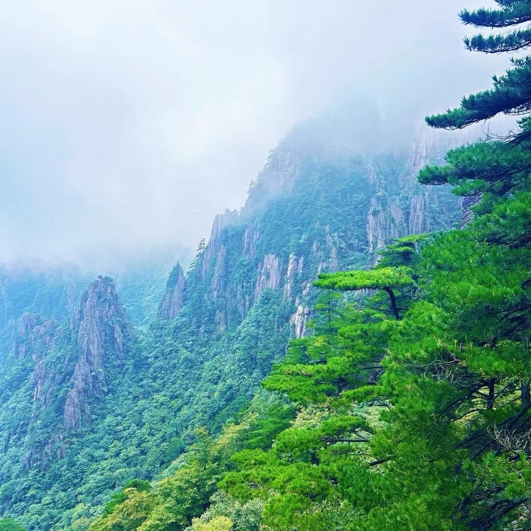 曲奇🍀