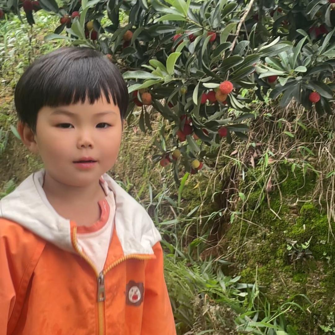 清醒哥《涅槃不认命》