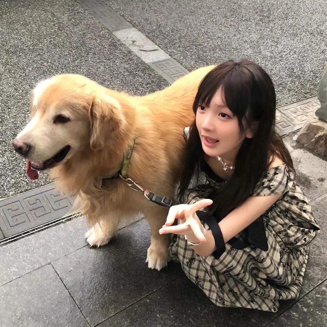 杨杨会发财