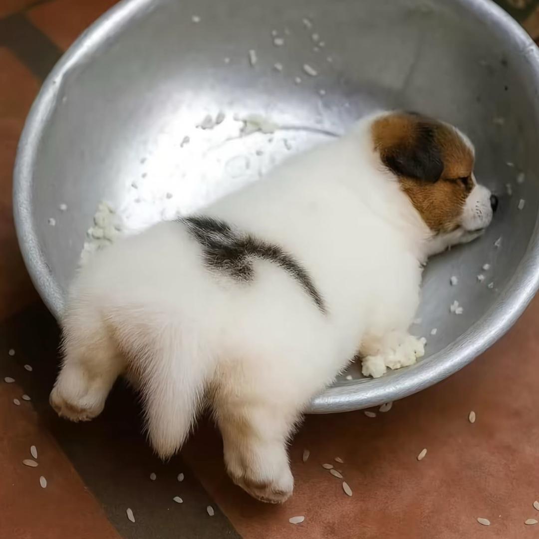 知心爱人