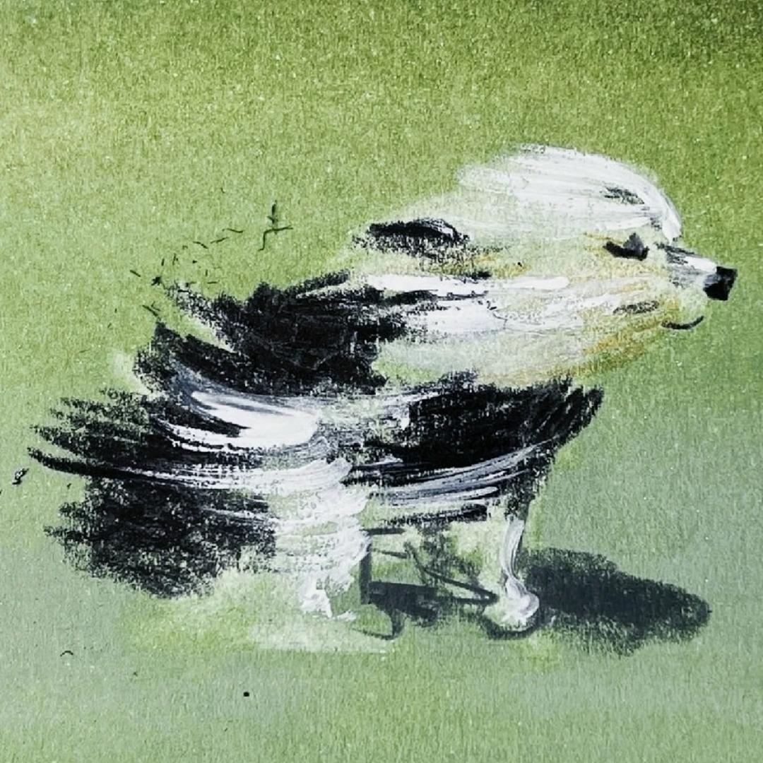 秋天🍃