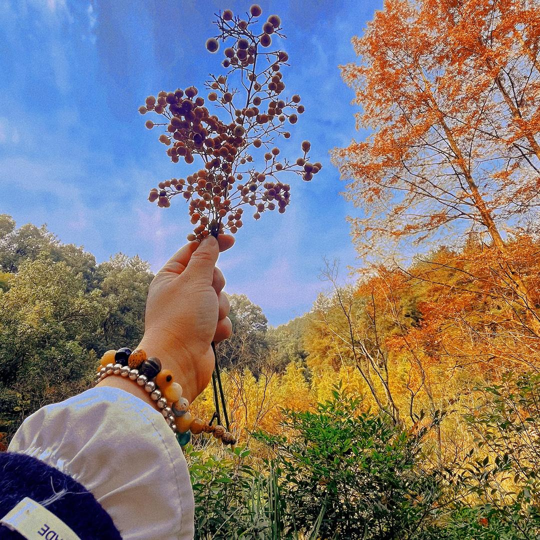 爱吃鱼的喵/•᷅•᷄\୭