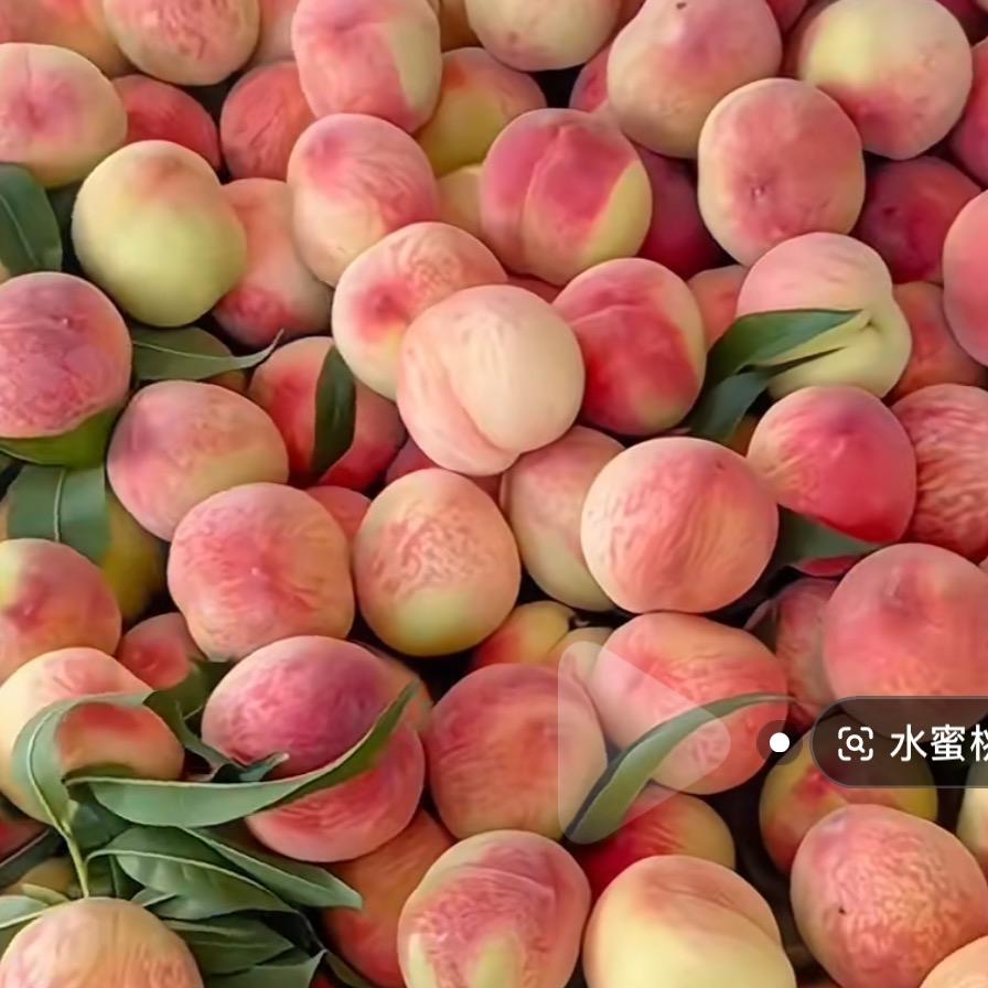 半亩方田鲜果优选