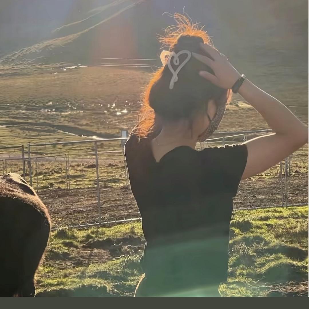 白措 （橱窗营业中）