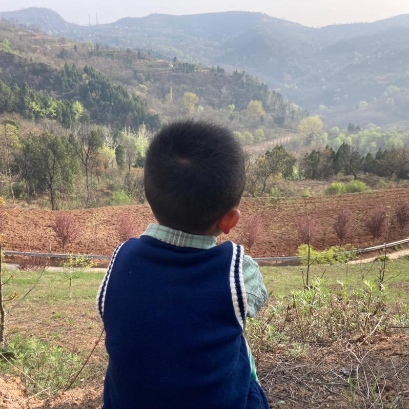 秋风李
