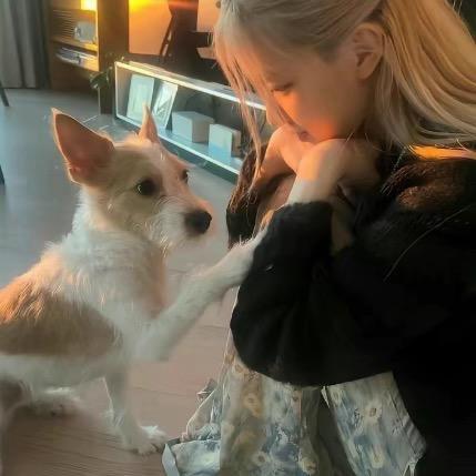 走错了赛道还能换吗