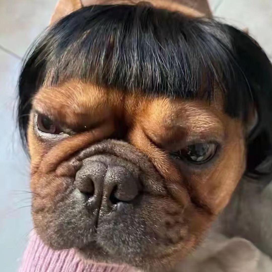 🌈🌈中不中🌈🌈