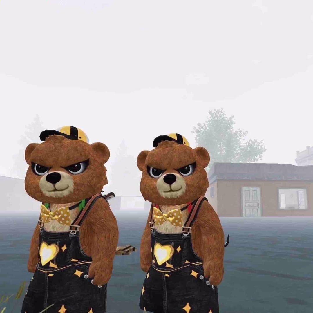 帮巡查（代查）