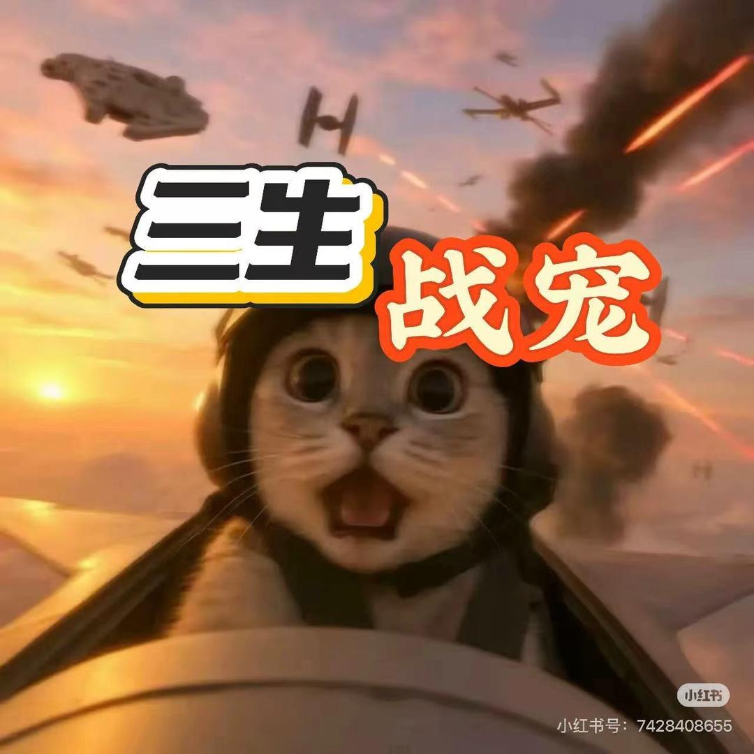 王小派