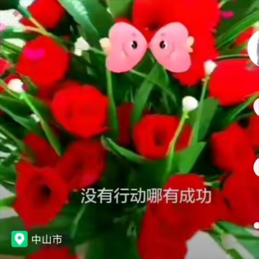 花开富贵 好运常在🌹🌼