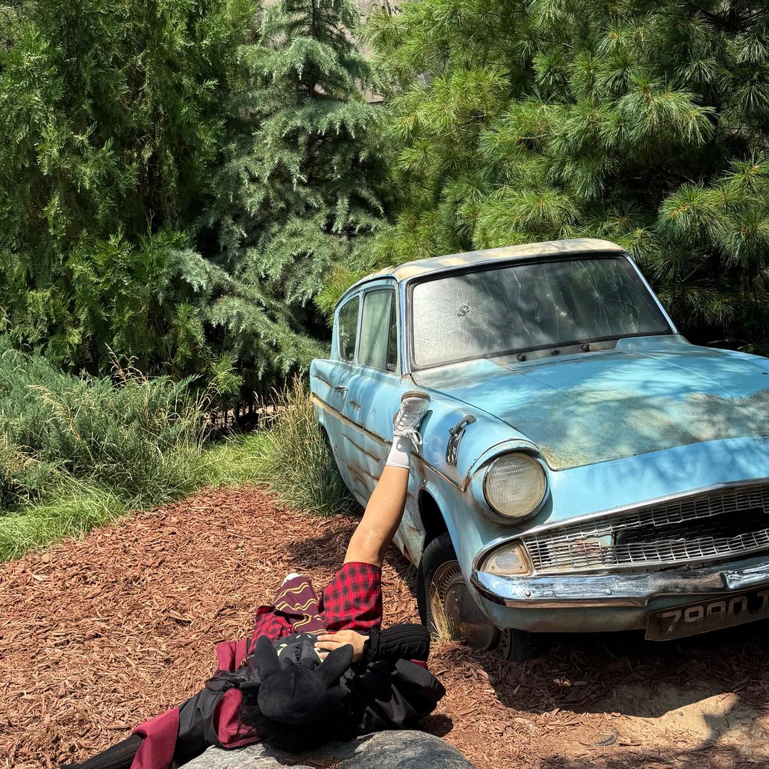 关我什么事？🙄