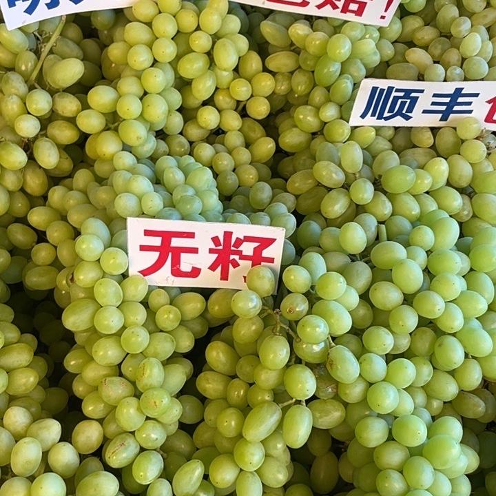 潮果匠新疆无核葡萄明天到