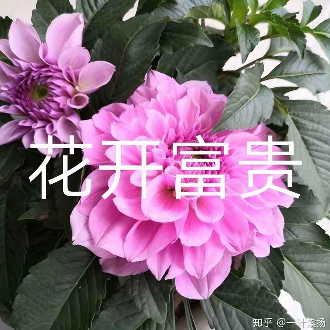 欣欣向荣。…