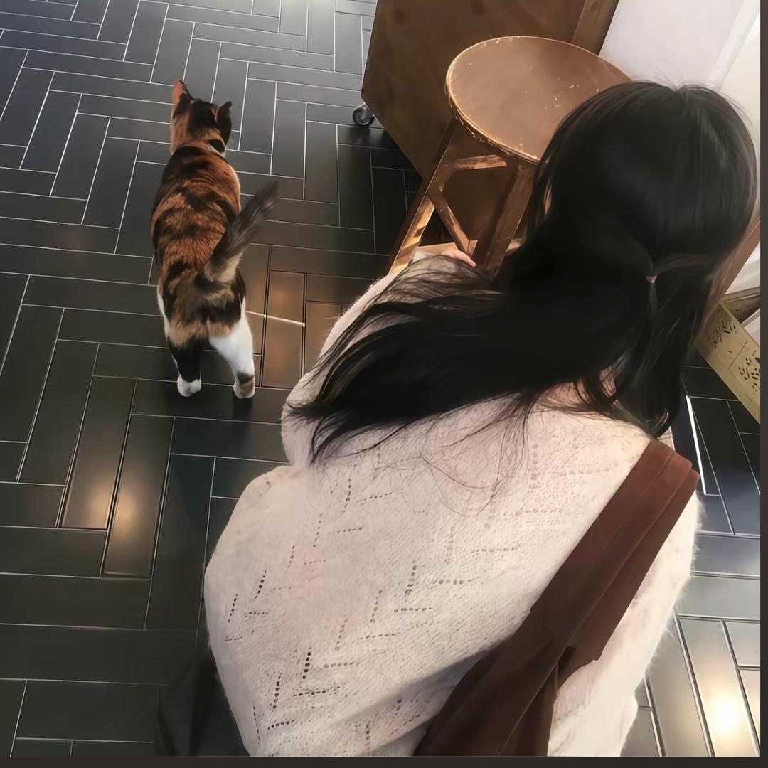 06年的秋
