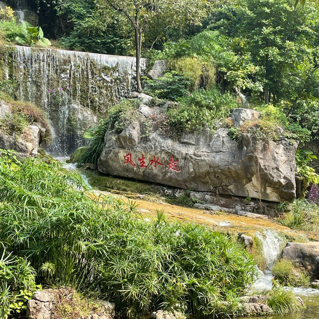 大鹏展翅