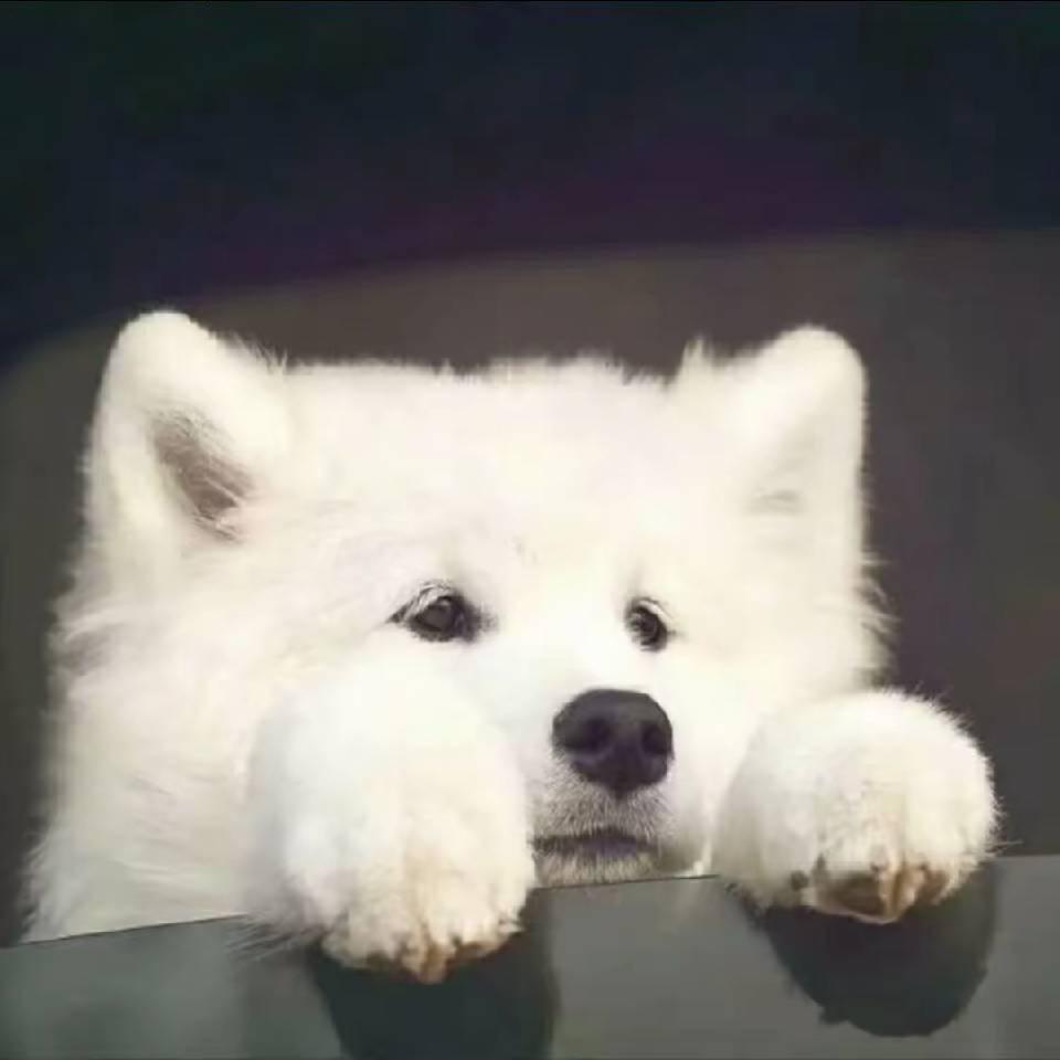 我离你真遥远