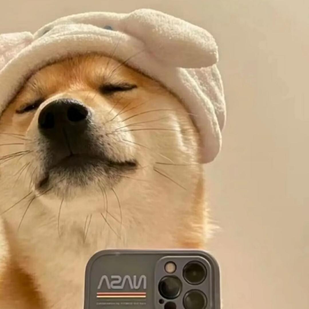 泡泡🫧肥仔猫