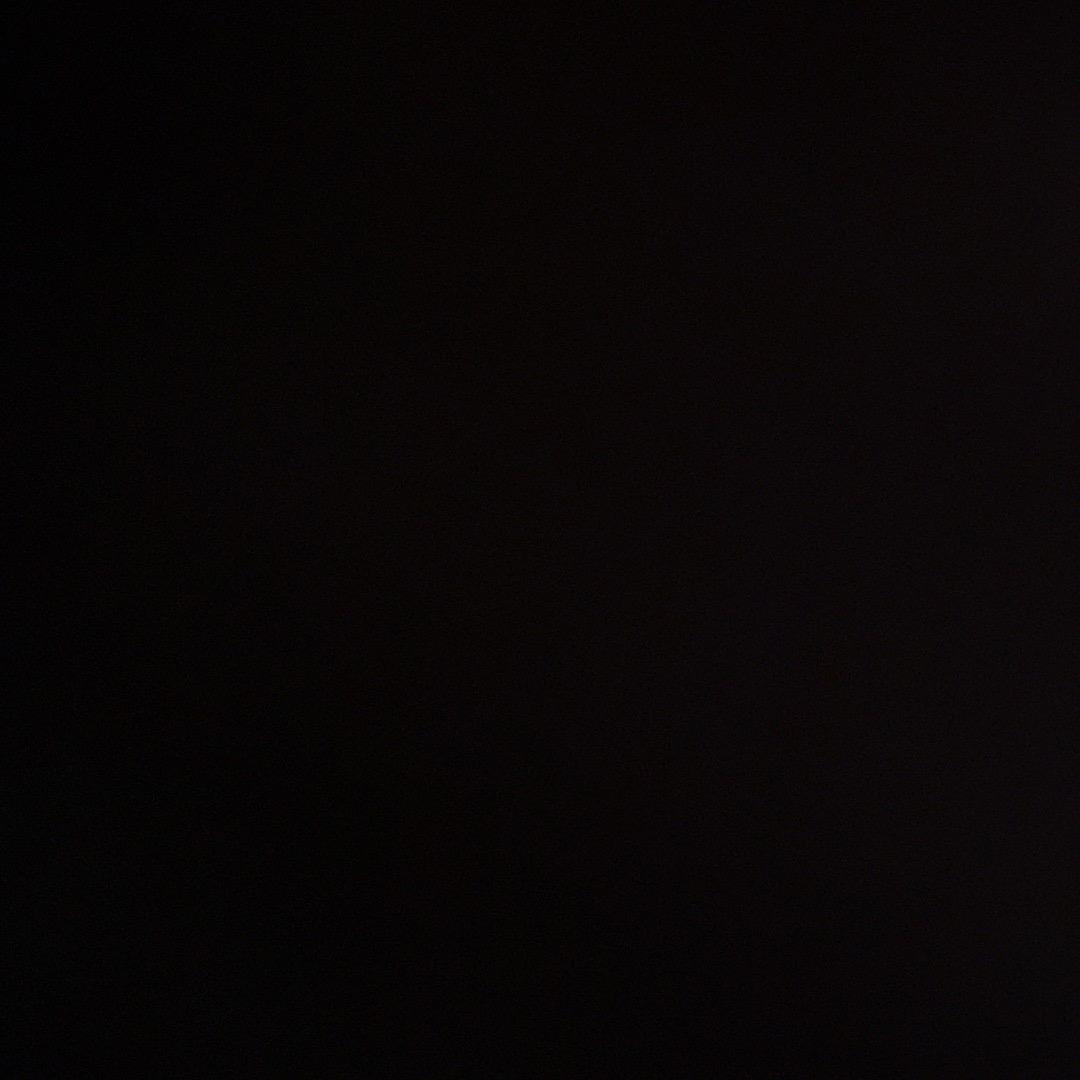 20000041