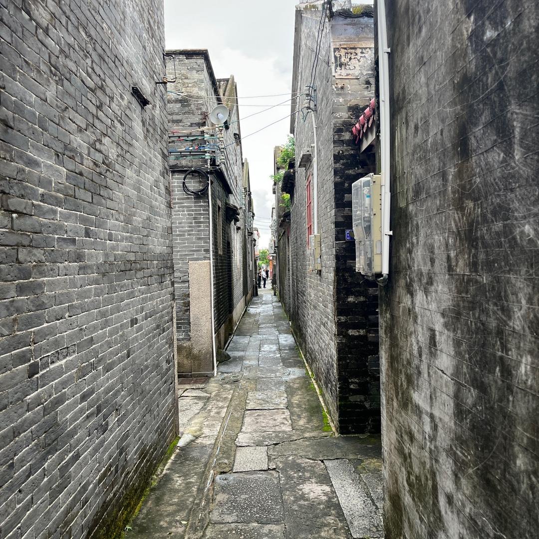 波哥