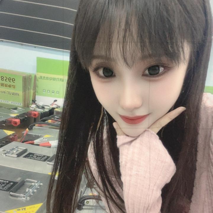 郑州真友劲儿~您身边的锂电专家