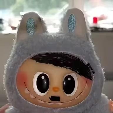 capitalcity       🪳