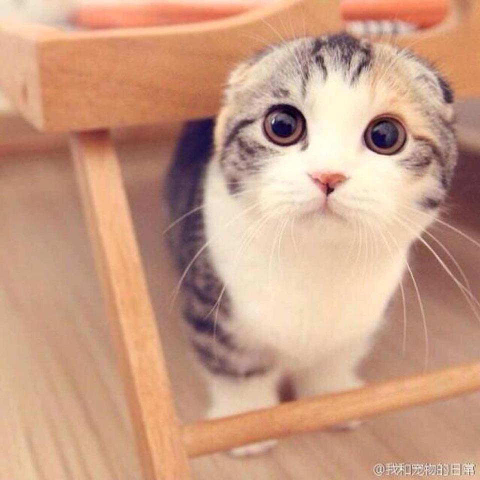 可乐妈妈