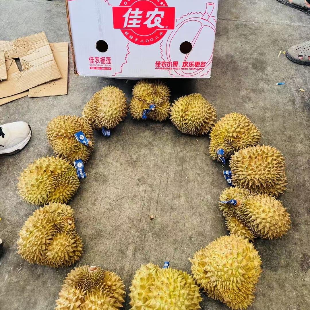 果小果一站式仓储