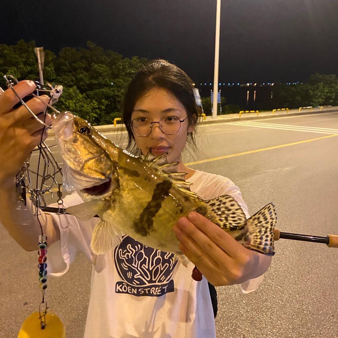 韩韩别打龟🎣