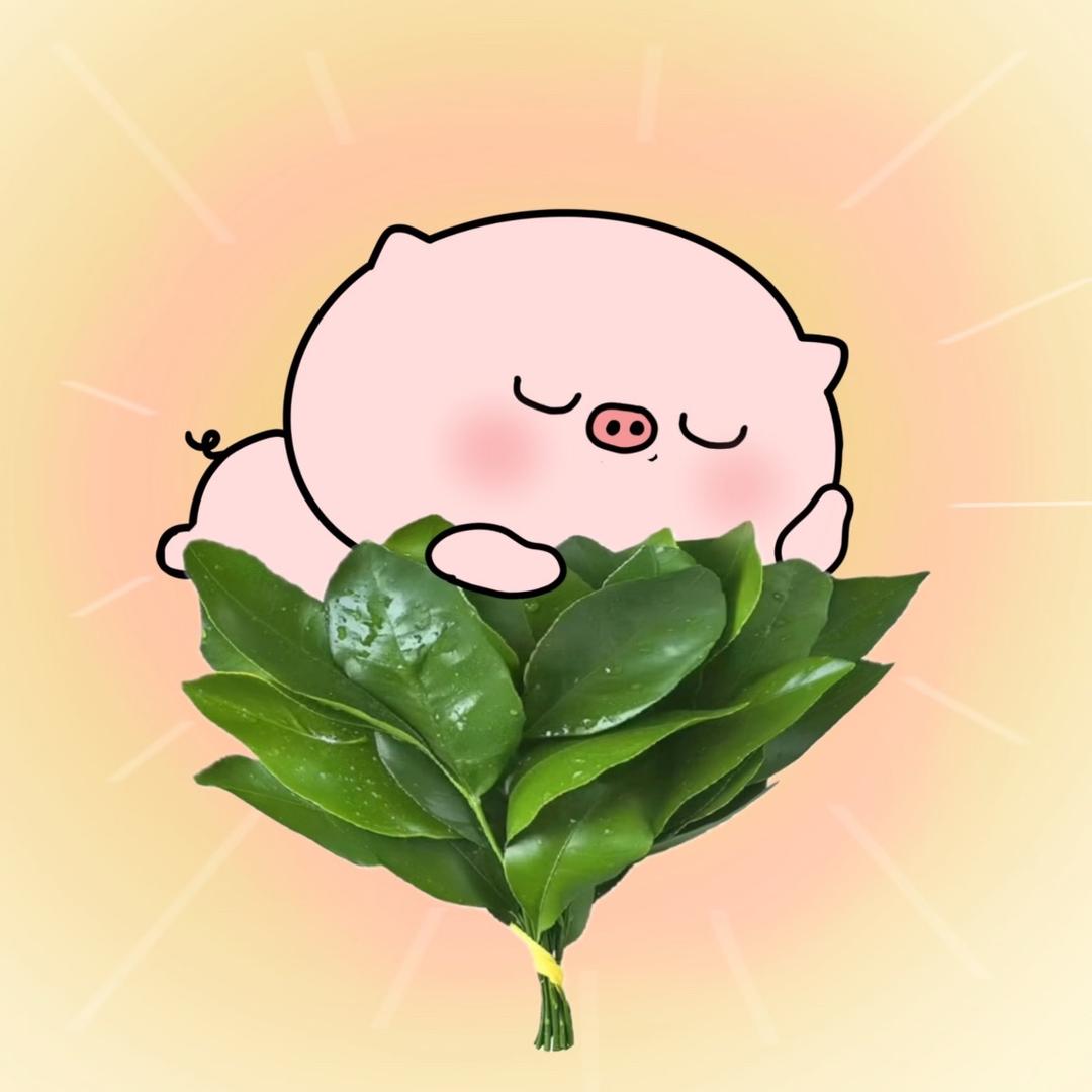 🐽