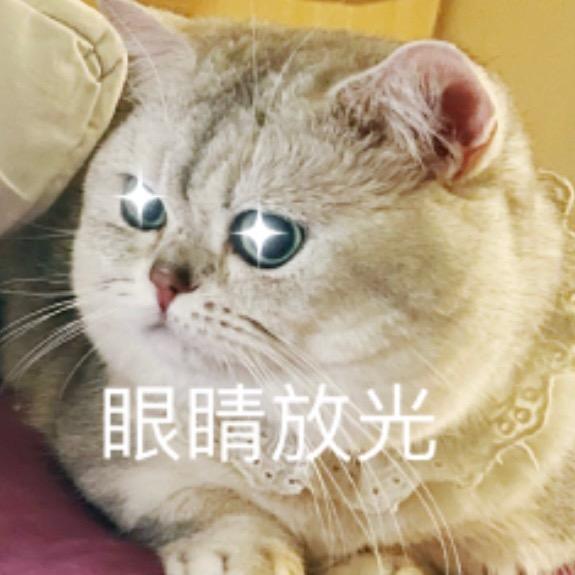 小熊维尼