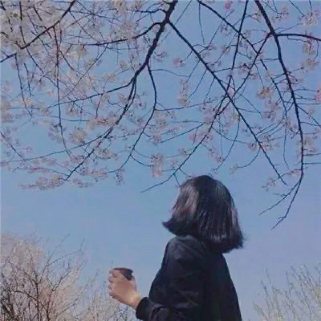 心如止水