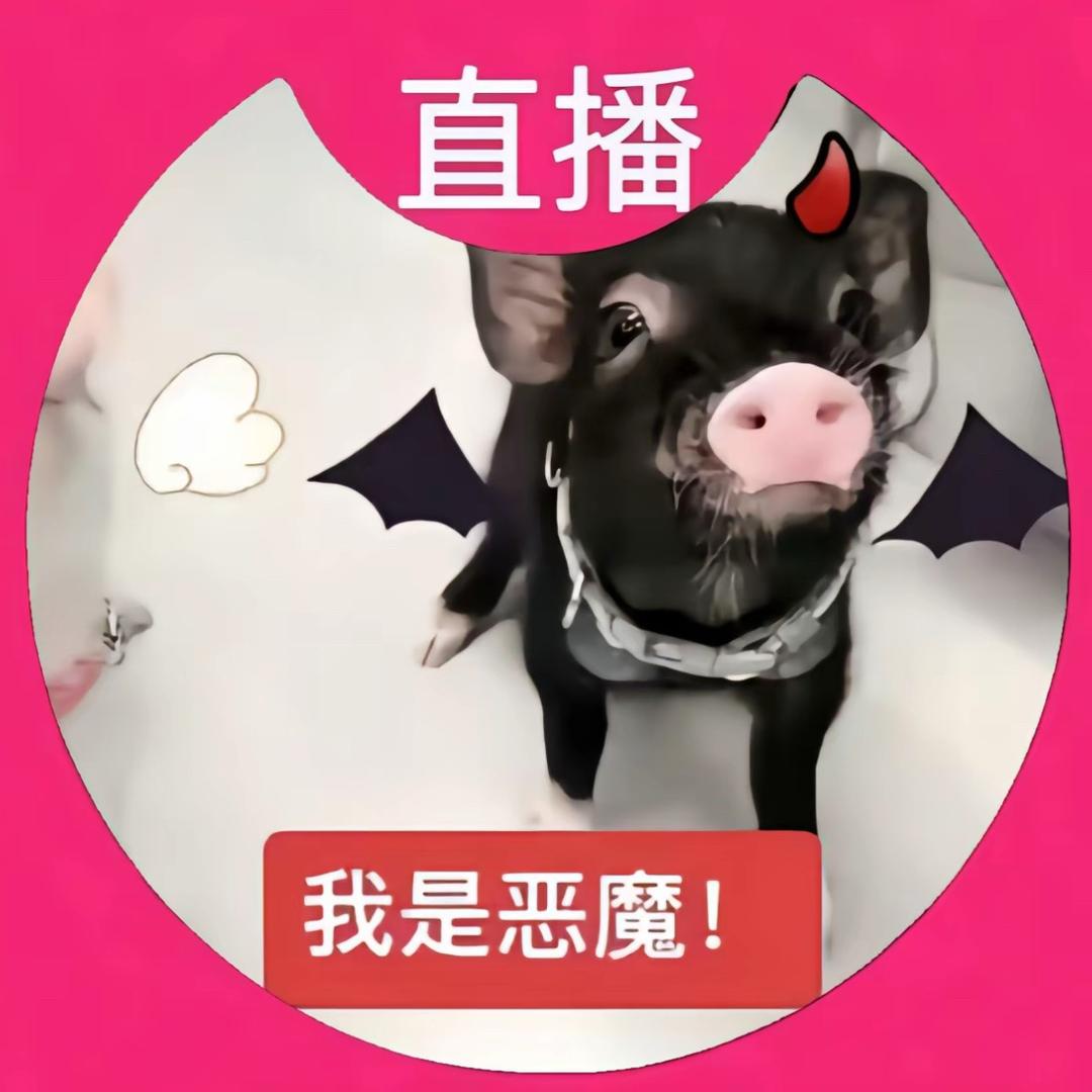 补药瞎鱼ovo