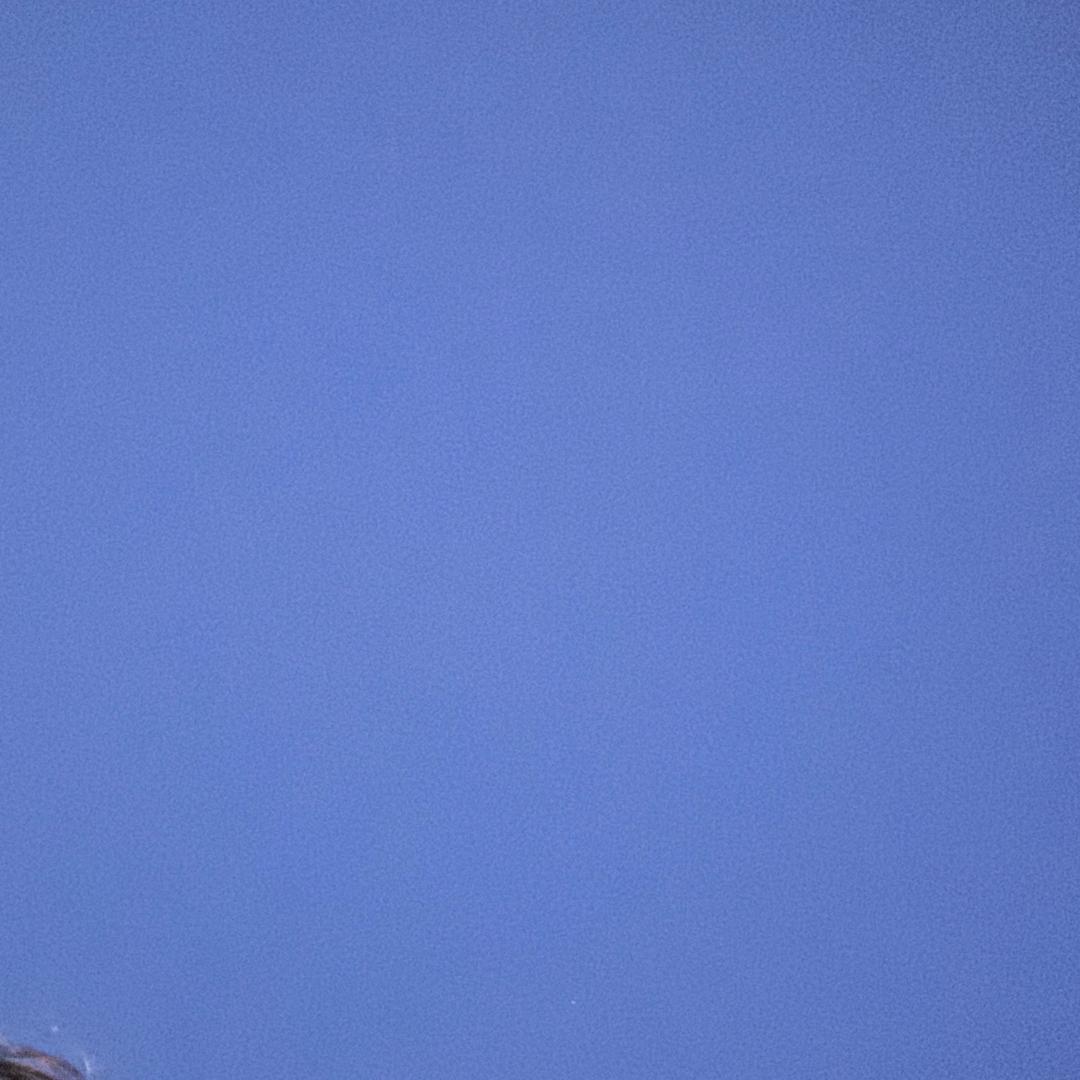 咸鱼