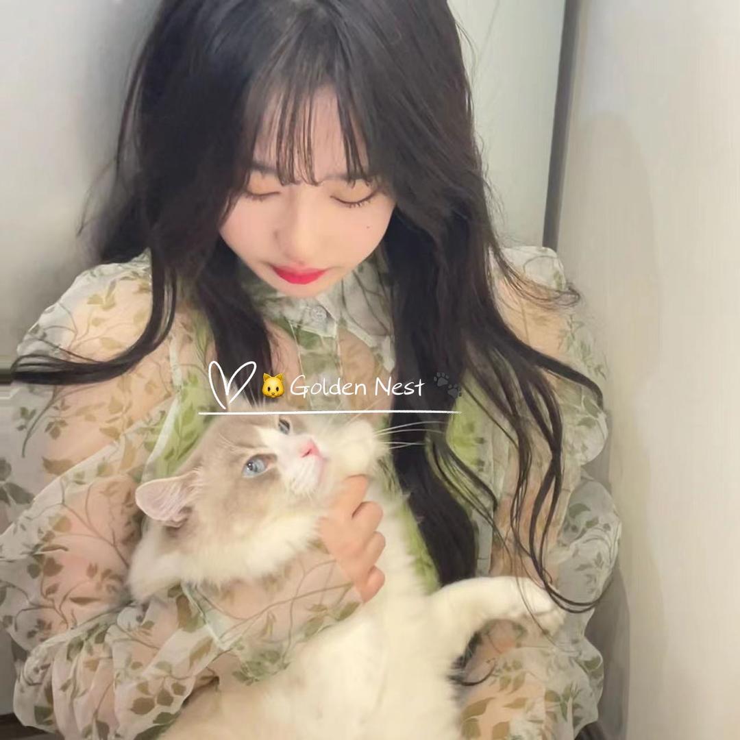 小八猫舍