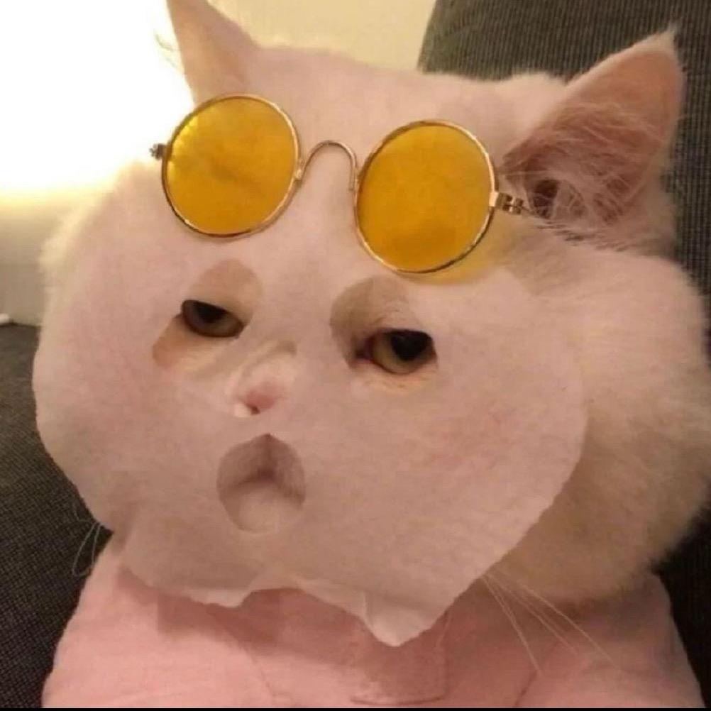 仙女味的猫