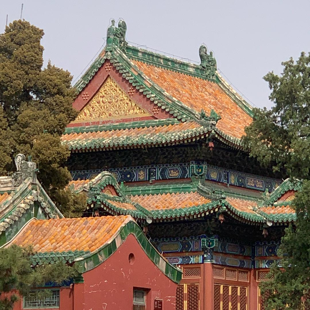 翱翔的鹰🦅