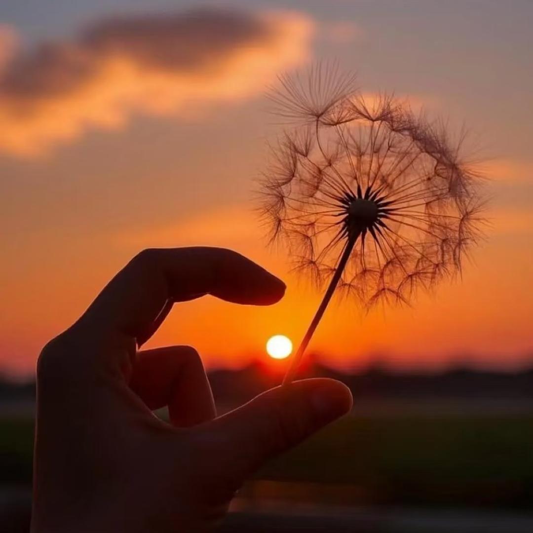 🌻.