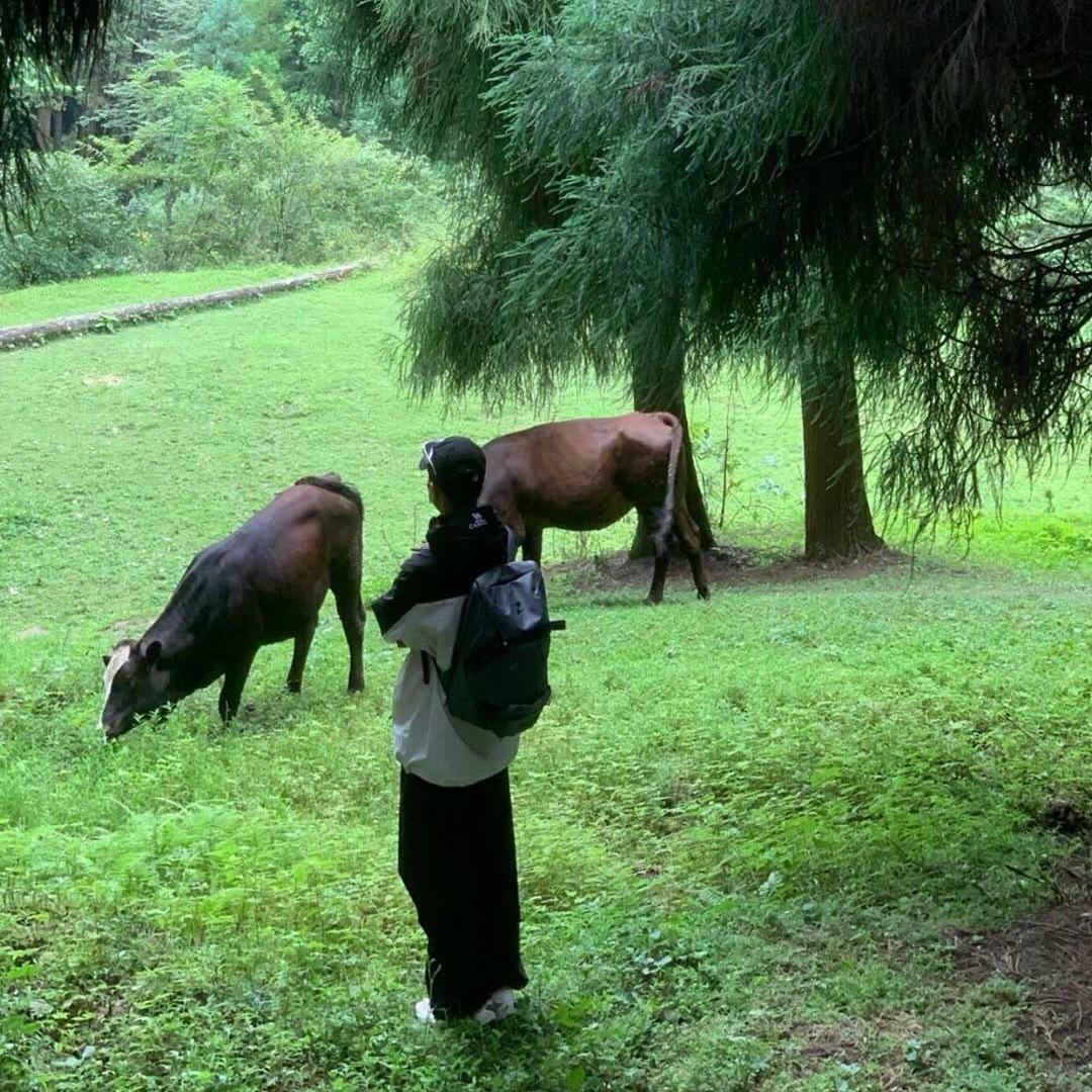 惟有香如故.