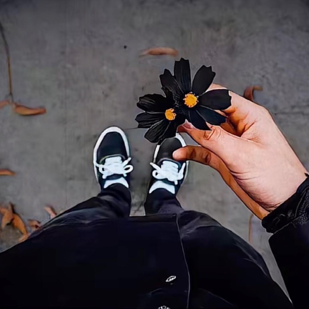 我只会哔哔哔。