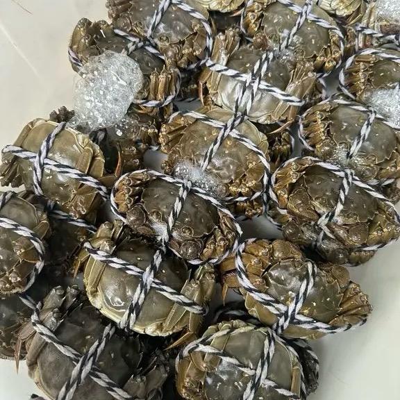 东明活虾螃蟹🦀批发
