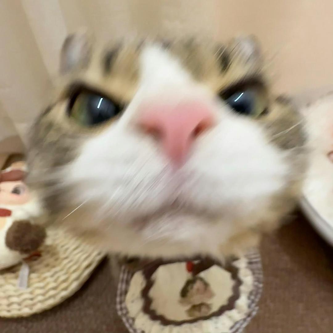 官方认证易夫人.