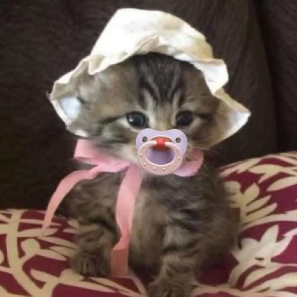 三点仙
