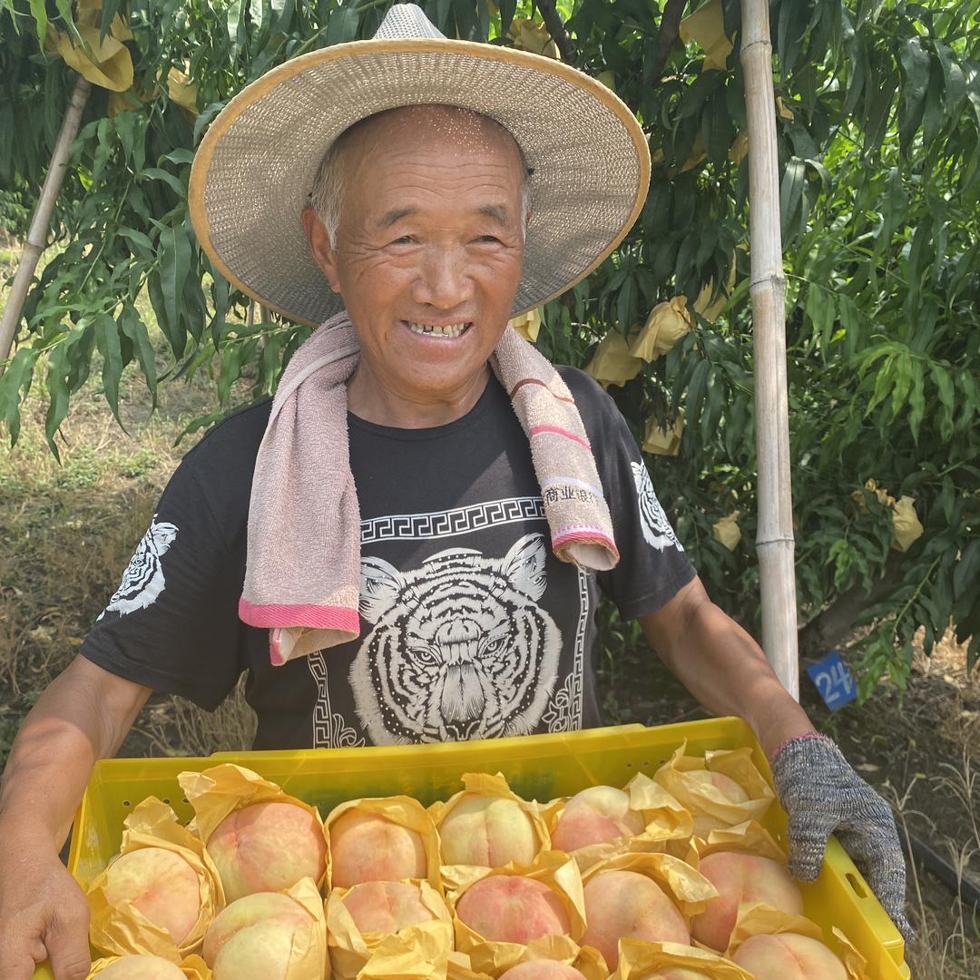阳山杨氏专卖店