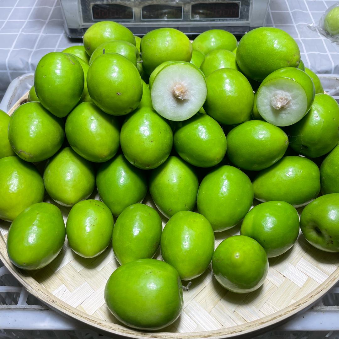 南方果业严选