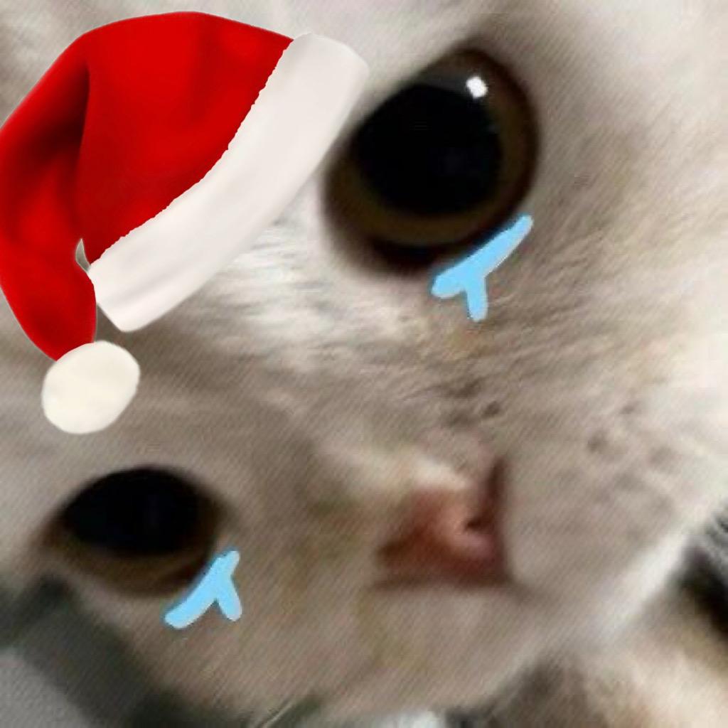 不许哭