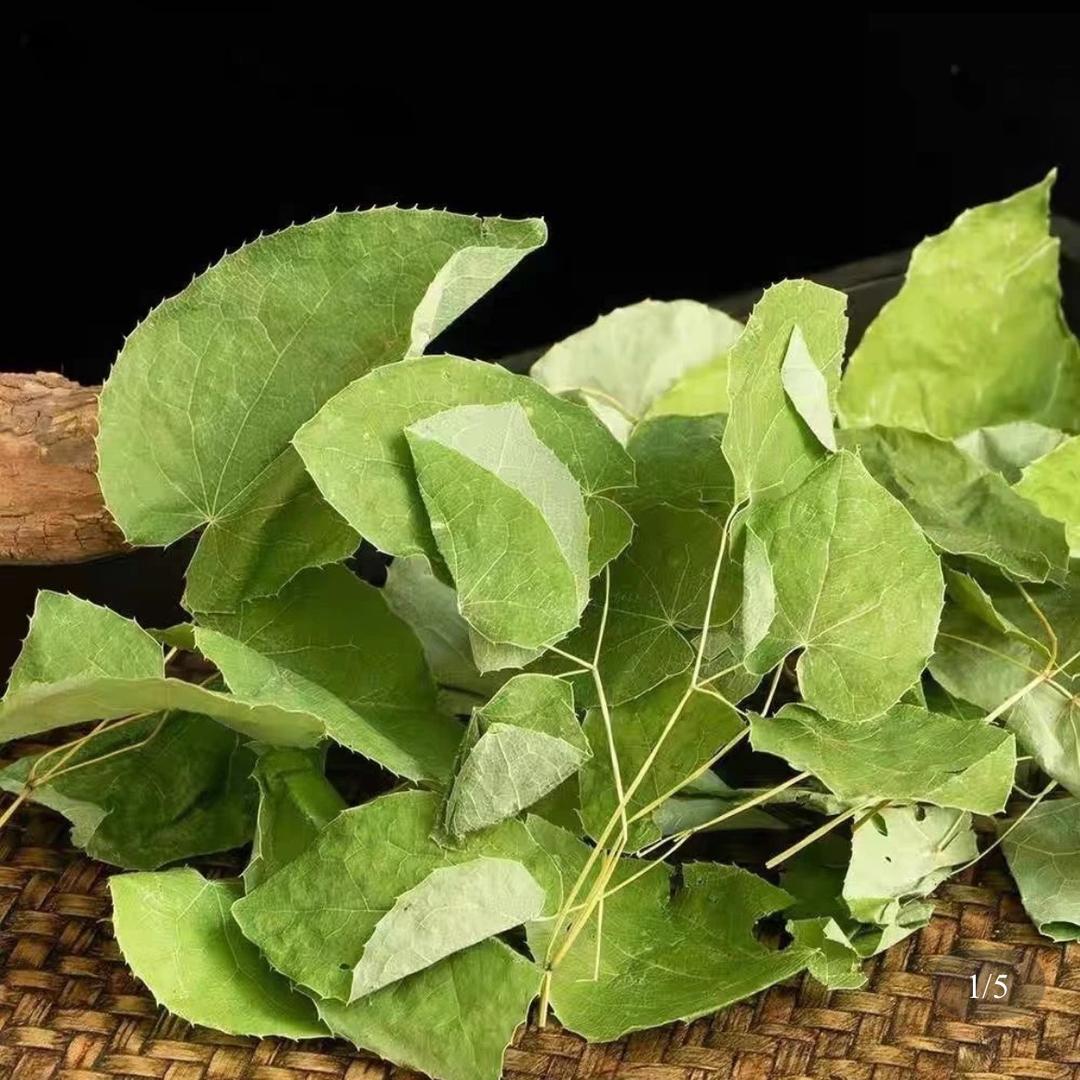 长白山三枝九叶草