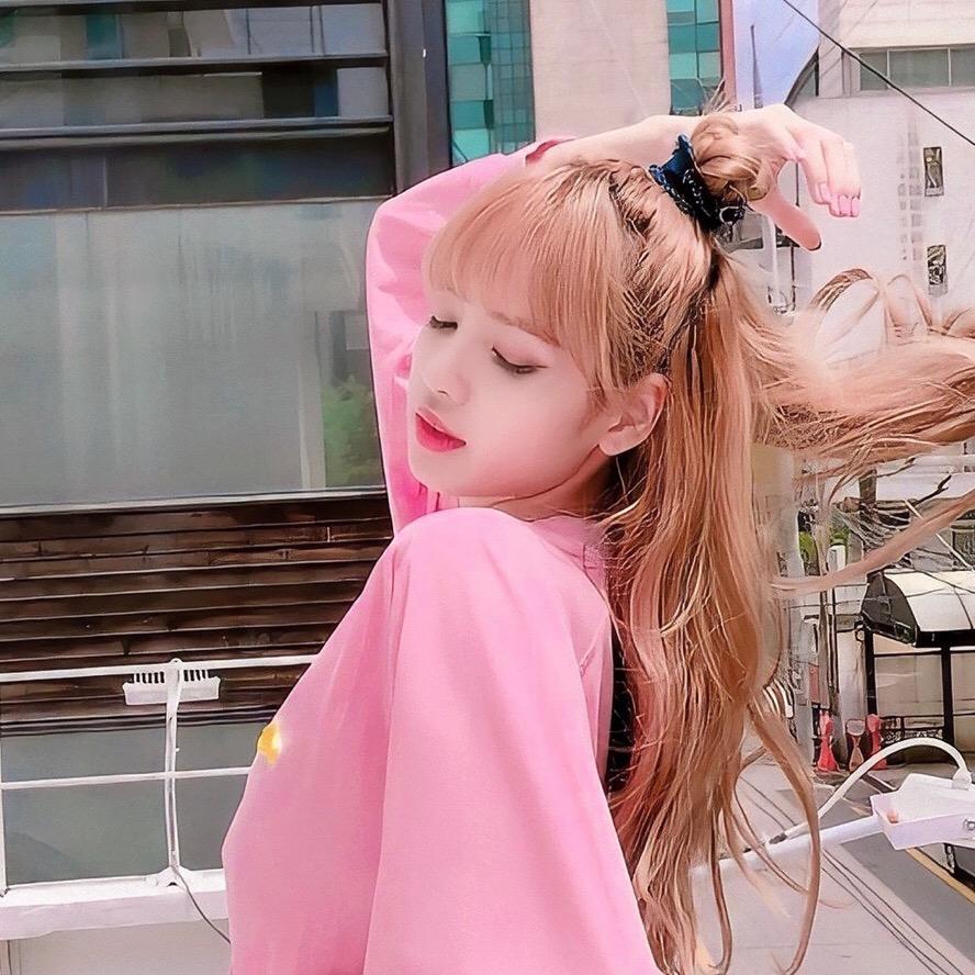 @猪猪侠