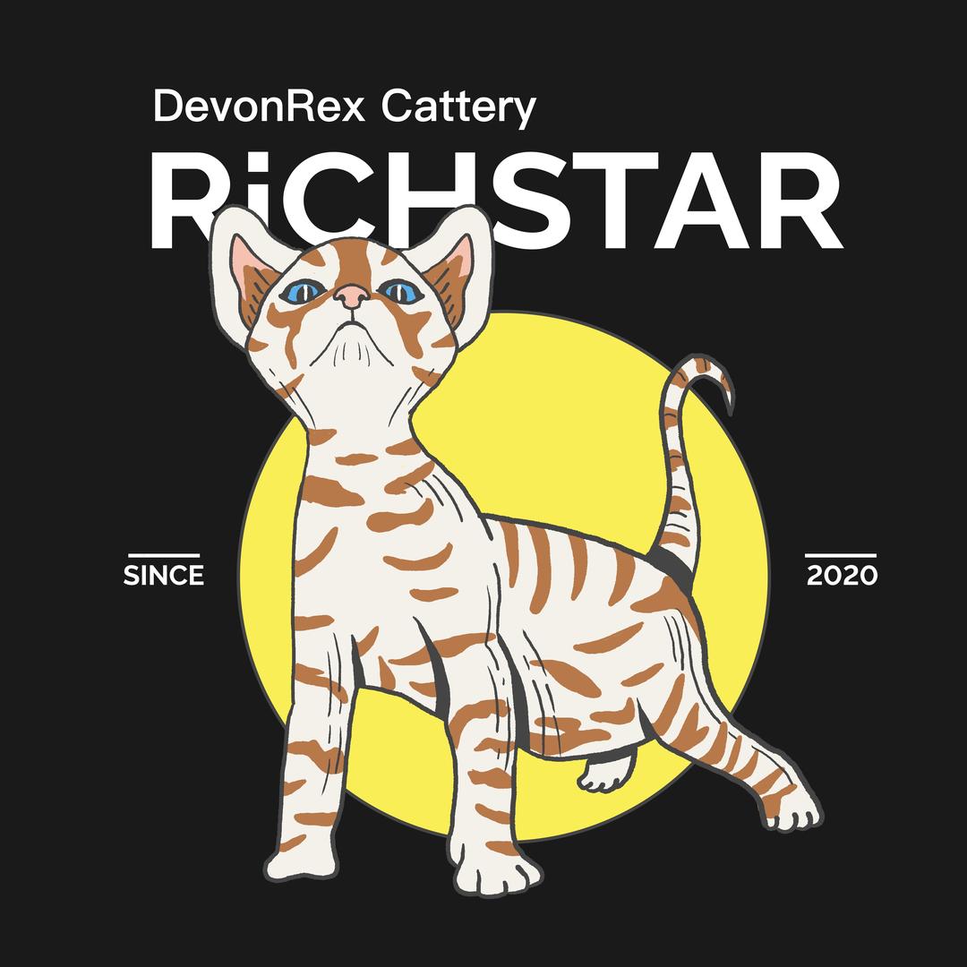 RiCHSTAR德文卷毛猫®