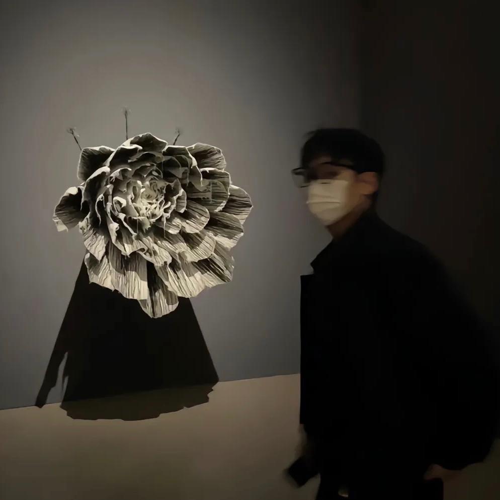 江上挽风.