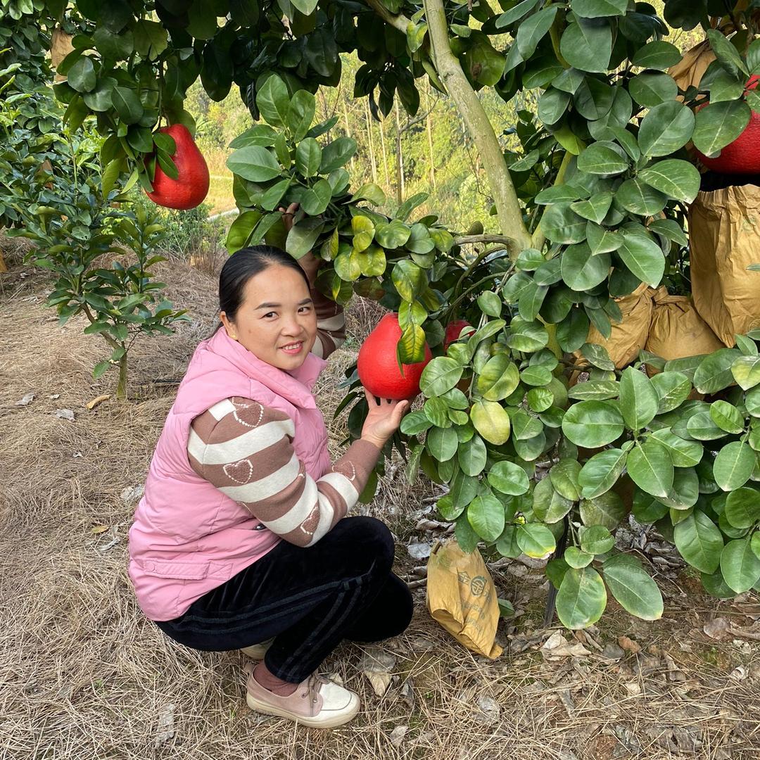 广西容县精瑞农业有限公司